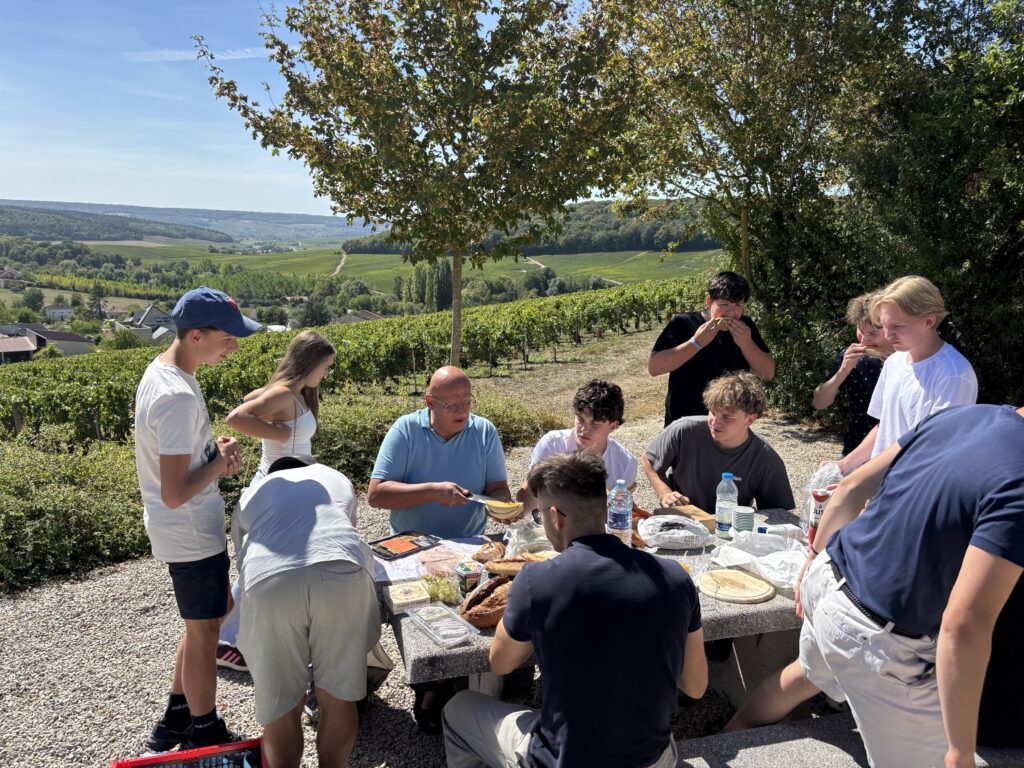 Jause mit Blick auf die Weinberge der Champagne